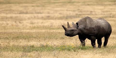 3-Day Essence of Tanzania - Luxury