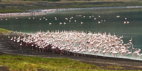 6-Day Love & Wilderness Honeymoon Safari