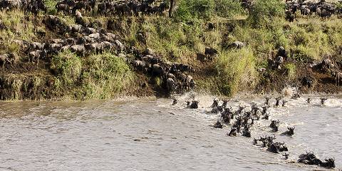 Fly-in & Fly-out Luxury Serengeti Safari