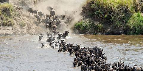 10-Day All Inclusive Great Migration Calving Safari