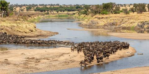 8-Day Masai Mara, Serengeti & Ngorongoro Crater Safari