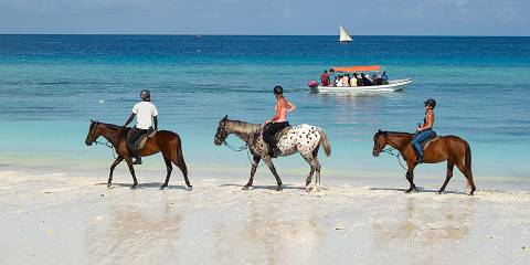 Luxury from Wild Savannahs to Coastal Opulence