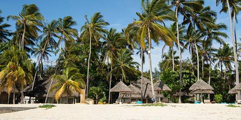 Amazing Mid-Range Safari and Zanzibar Beach