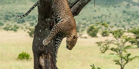 5-Day Wildlife Encounter & Cultural Experience Tanzania