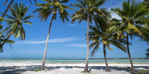 Fly in Honeymoon from Zanzibar 2 Nights Serengeti