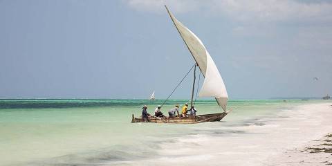 8-Day Serengeti Safari and Zanzibar Beach Escape