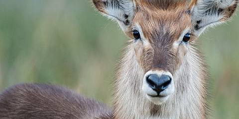 3-Day Amazing Tarangire, Ngorongoro & Manyara Safari
