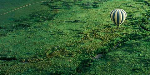 Fly-in Safari to Serengeti, Ngorongoro & Materuni