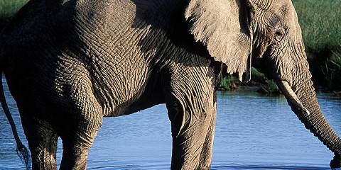 12-Day Ultimate Tanzania - Unforgettable Wildlife Safari