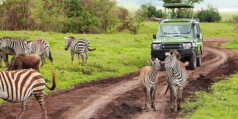 7-Day Serengeti, Hadzabe Cultural Experience & Balloon