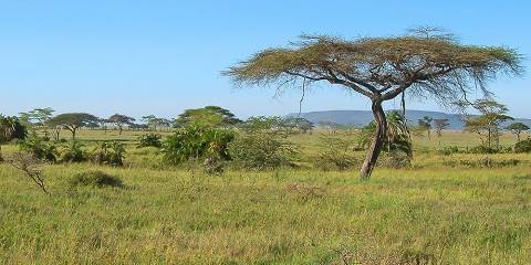 7-Day Extra Ordinary Tanzania Safari