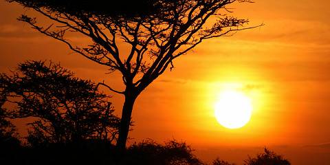 5-Day Wildlife Safari and Materuni Cultural Tour