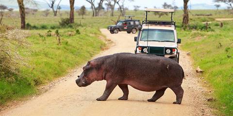 5-Day Tanzania Northern Circuit Safari