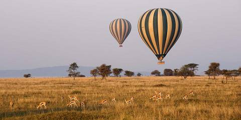 12-Day All Inclusive Luxury Safari & Beach Escape