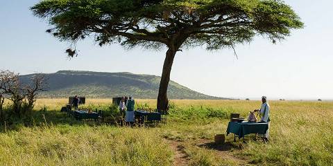 3-Day Honeymoon Escape over the African Savannah