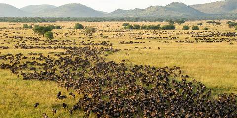 3-Day Mid-Range Safari to Serengeti National Park