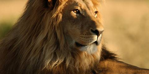 3-Day Waterfalls, Hotspring and Tarangire National Park
