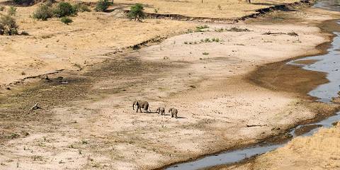 2-Day Midrange Tarangire & Lake Manyara
