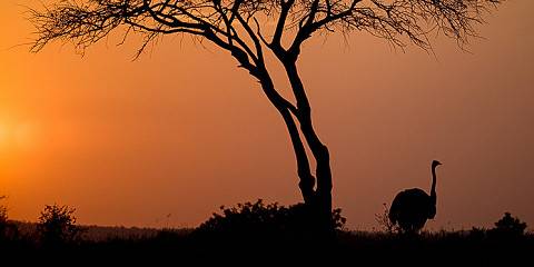 7-Day Wild Serengeti & Materuni Adventure