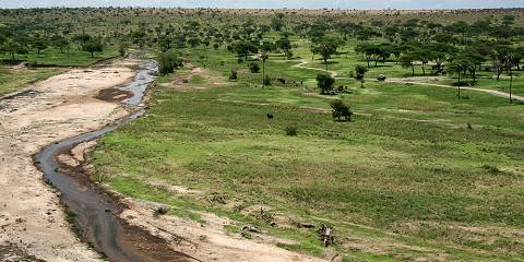 5-Day Big Five Tanzania Camping Safari