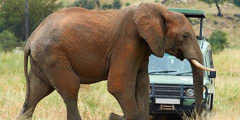 2-Day Safari Tarangire and Ngorongoro Crater