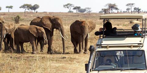 10-Day Best of Tanzania Safari & Zanzibar Beach