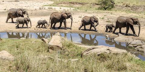 3-Day Serengeti - Ngorongoro Safari from Zanzibar