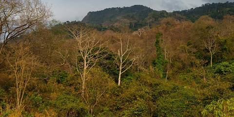 Materuni Waterfall and Coffee Tour