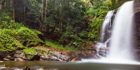4-Day Mikumi NP and Udzungwa Mountain NP Nature Safari