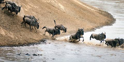 3-Day Fly-in Safari Serengeti & Ngorongoro Camping