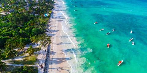 7-Day Zanzibar Bliss & Tanzania Wildlife Escape