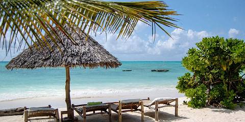 Wild Elegance & Island Escape Safari with Zanzibar
