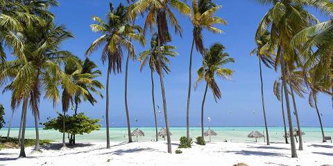 7-Day Ngorongoro, Serengeti, Lake Manyara& Zanzibar Tour