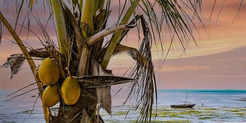 5-Day Safari & Zanzibar Beach