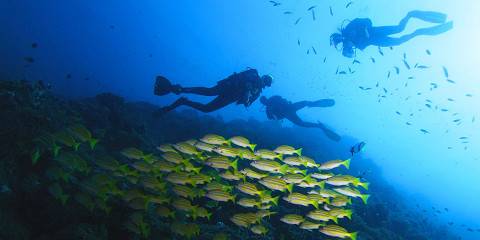 10-Day Northern Tanzania Safari with Zanzibar Getaway