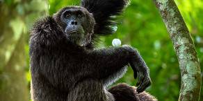 Open Photos