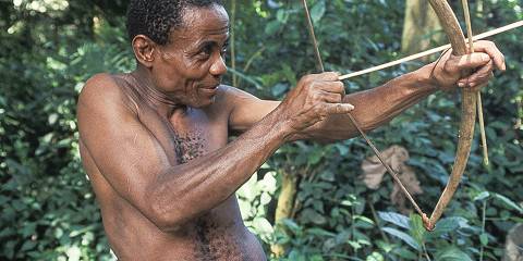 Highlight of Uganda Wildlife and Its Nature