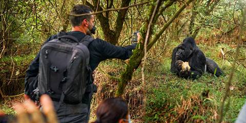 8-Day Cycling/Gorillas/Queen Elizabeth/Chimpanzee Safari