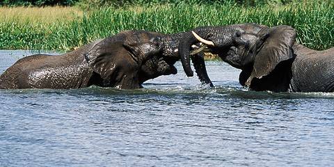 3-Day Uganda Budget Tour Queen Elizabeth National Park
