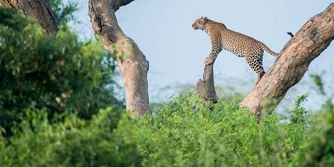 Luxury Murchison Safari-Adventure