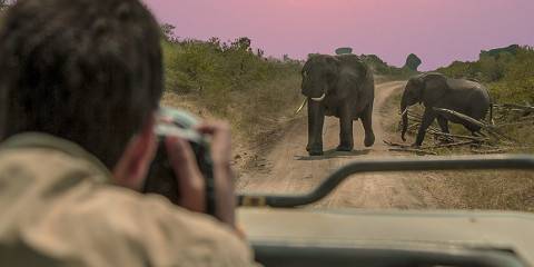3-Day Queen Elizabeth Uganda Safari