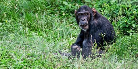 9-Day Classic Wildlife and Savanna Safari