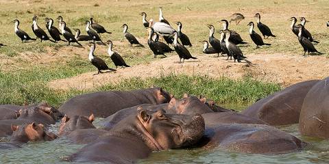 3-Day Unforgettable Wild Experience