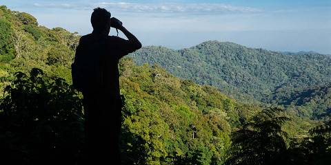 3-Day Fly into the Wild, Face-to-Face with Gorillas