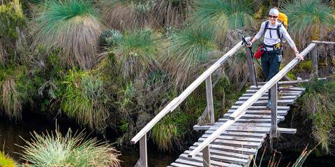 4-Day Queen Elizabeth NP, Rwenzori Trek & Chimpanzee