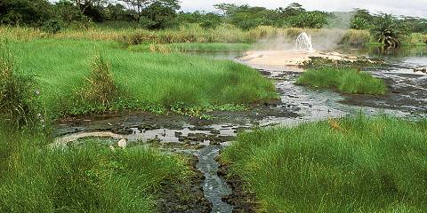 5-Day Chimpanzee Hot Springs and Cultural Safari Uganda