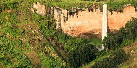 Uganda's Gorilla and Wildlife Experience
