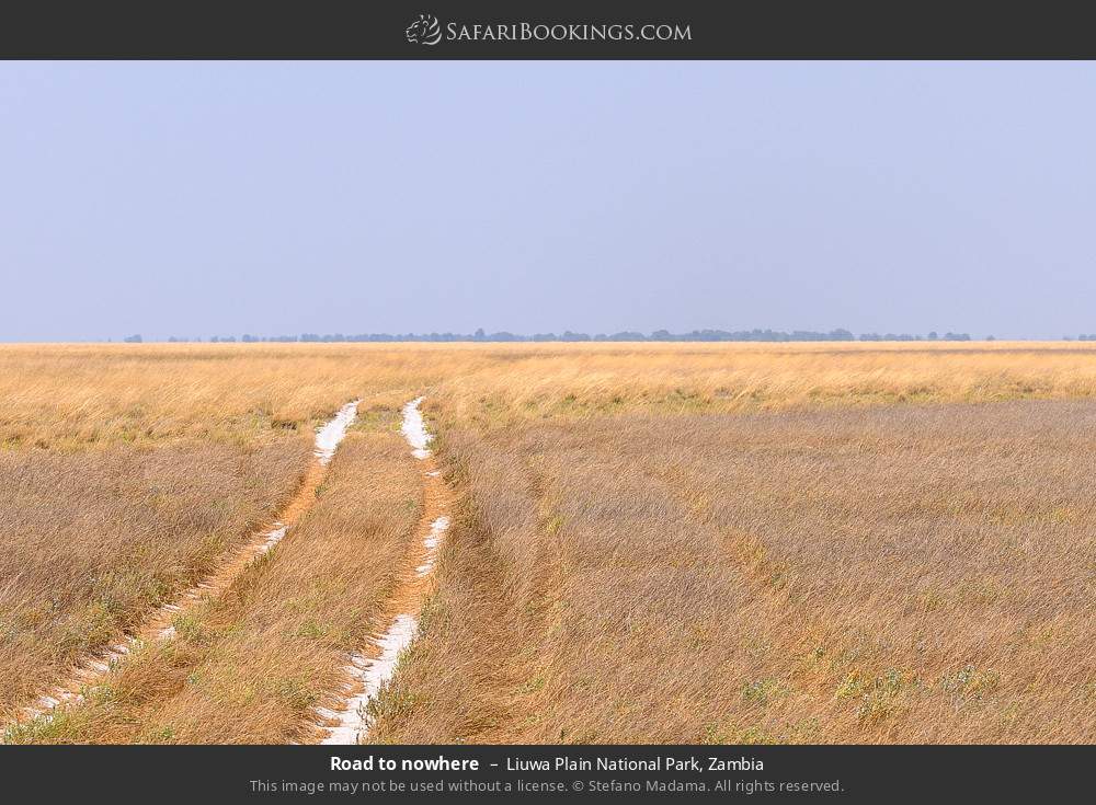 Road to nowhere in Liuwa Plain National Park, Zambia