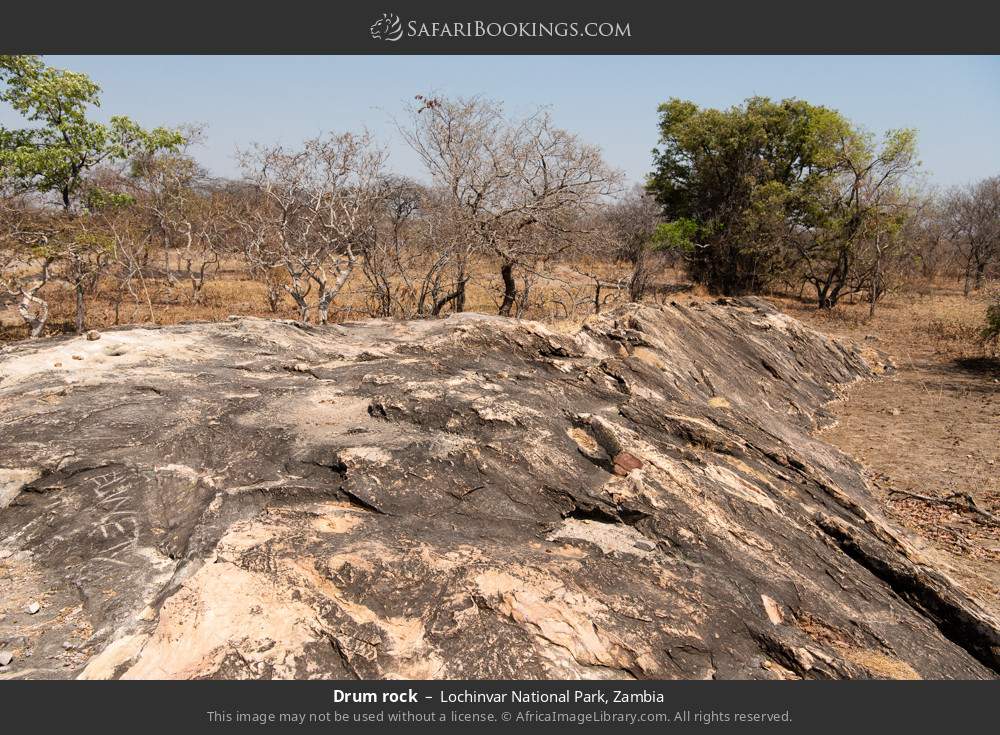 Drum rock in Lochinvar National Park, Zambia