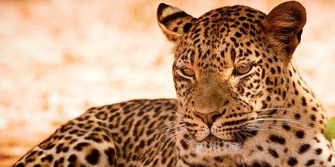 Explore Zambia